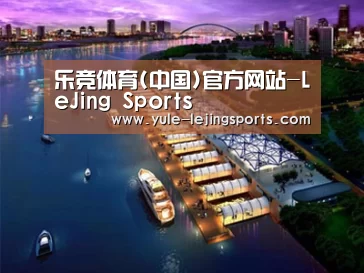案例展示八